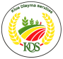 Kaye Diayma Services